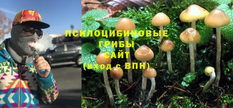 купить наркотик  это как зайти  Галлюциногенные грибы Psilocybe  Надым  МЕГА маркетплейс 